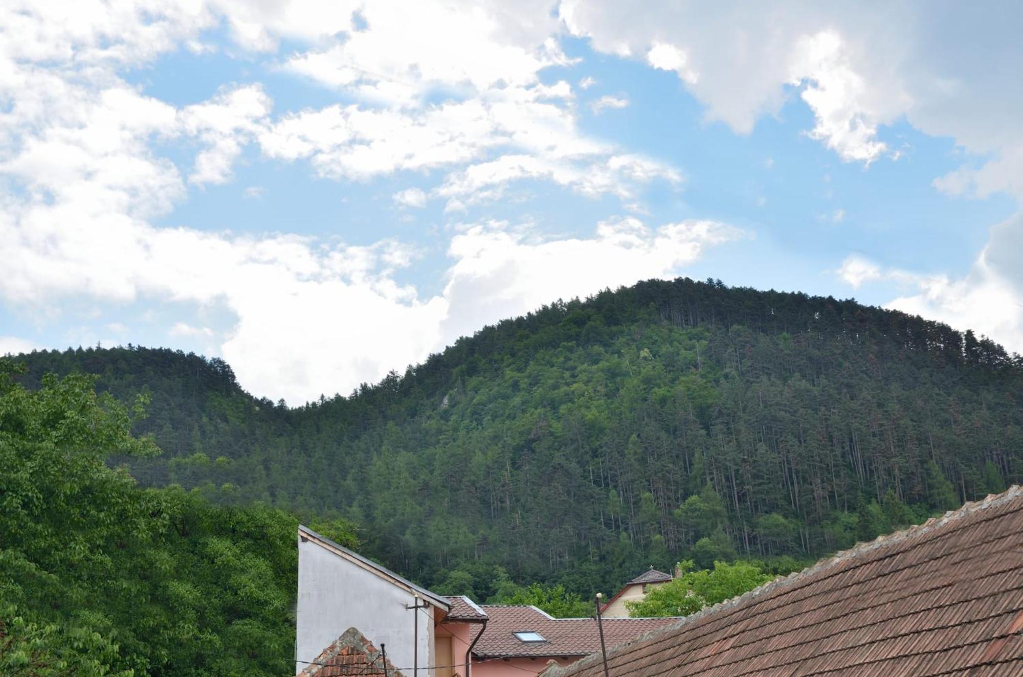 Casa Chiper - Attic With View